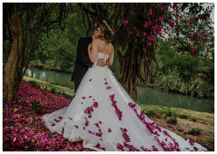 Opiniones de mi posible fotografa - 1