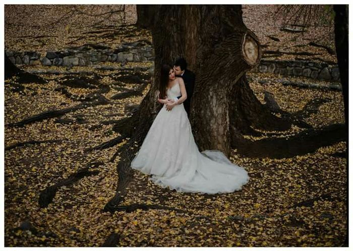 Opiniones de mi posible fotografa - 13