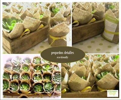 Ambientalmente amigable... ¿alguna idea? - 2