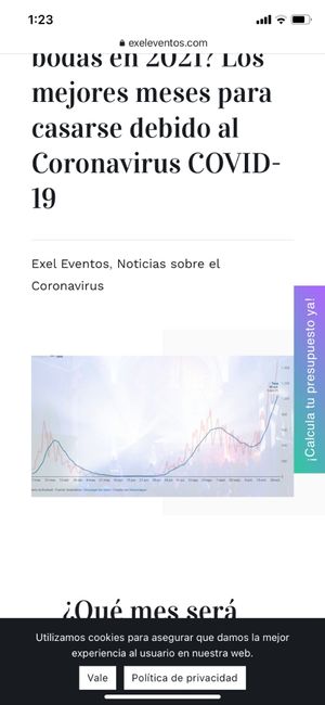 Bodas en febrero - 1