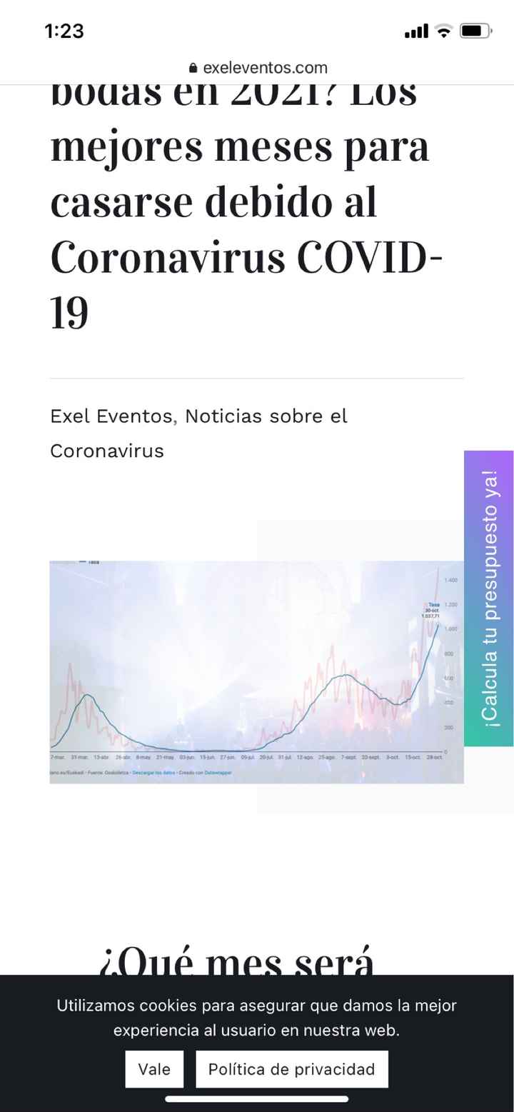 Bodas en febrero - 1