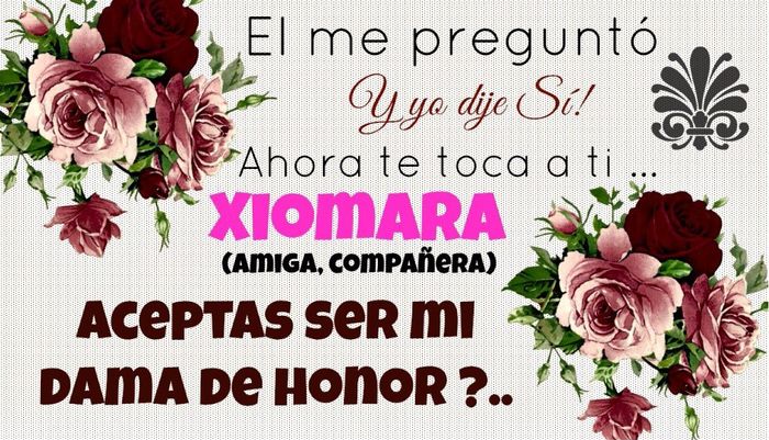 Propuesta - Dama 