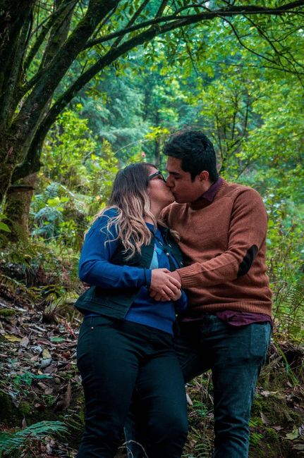 Sesión de fotos, bosque desierto de los leones 2
