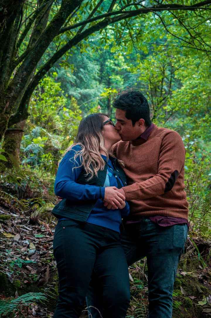 Dinamos 4 Foto