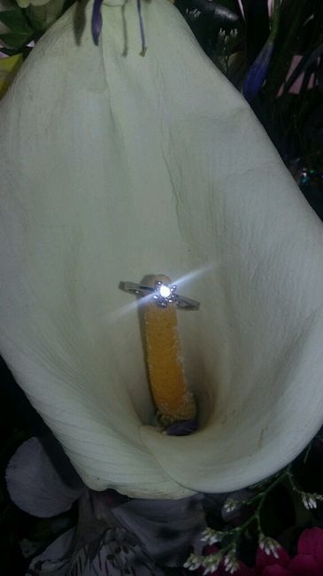 Nuestros hermosos anillos de compromiso !!! - 1