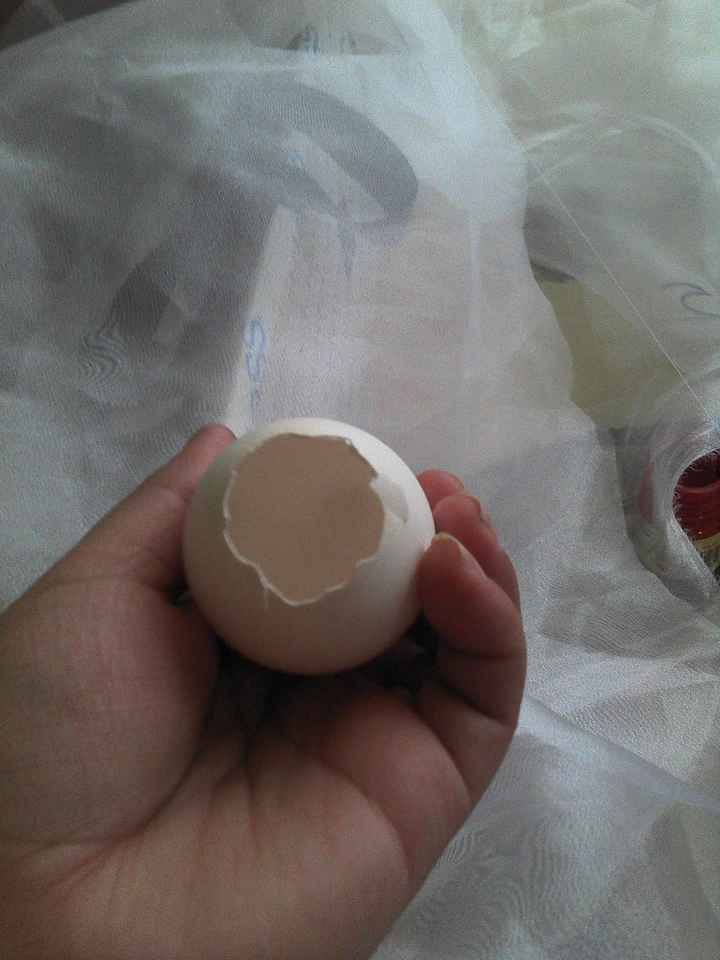 huevos vacios y limpios