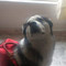 Claudia