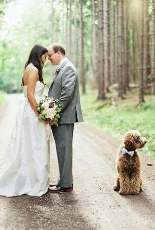  Fotos con perritos - 2