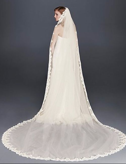 Mi velo y tocado - 1