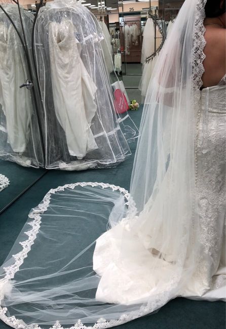 Mi velo y tocado - 2