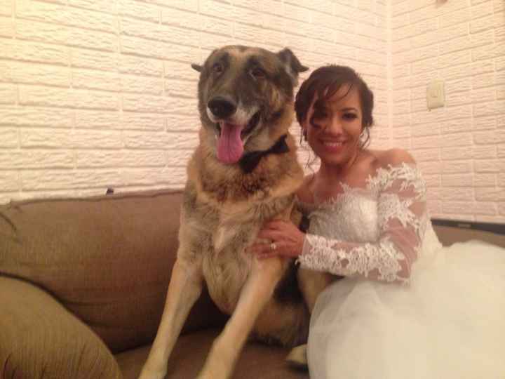 Nuestro baile de esposos - 12