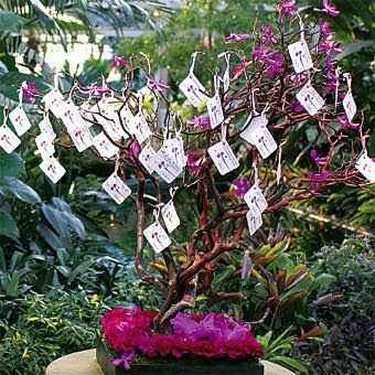 Ãrbol de los deseos