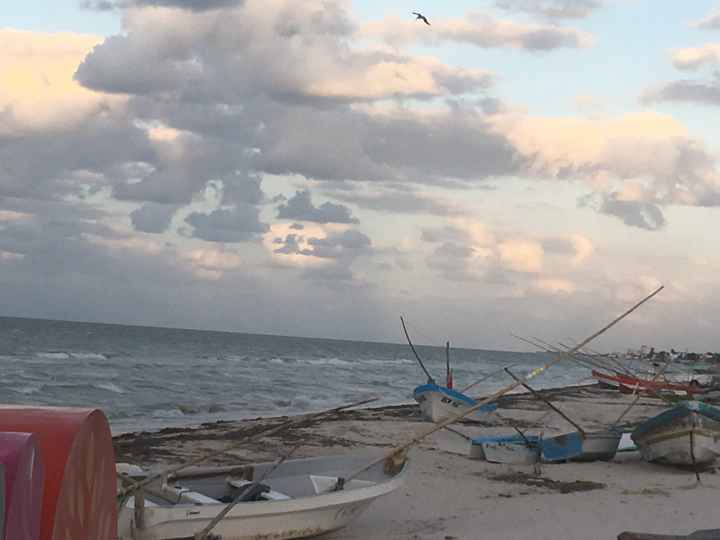  Casi sin Luna de Miel 🍯 - 3