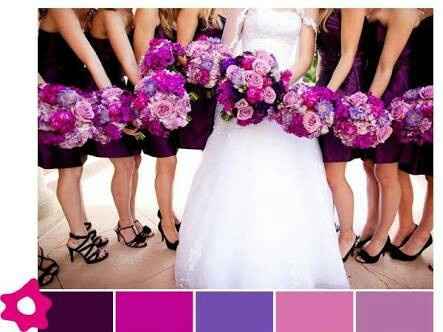Morado - 1