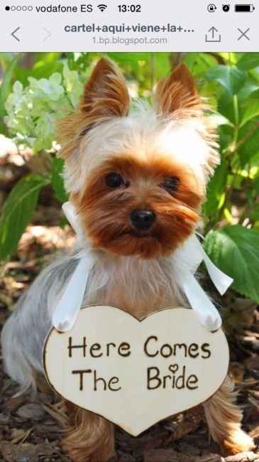 here comes