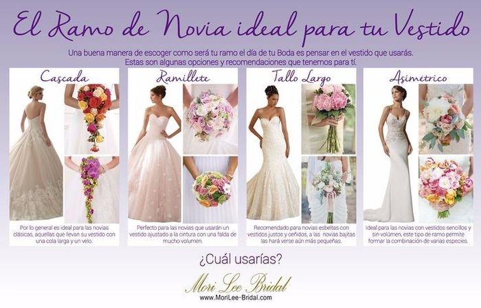 imagen1