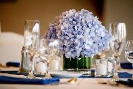 hortensias