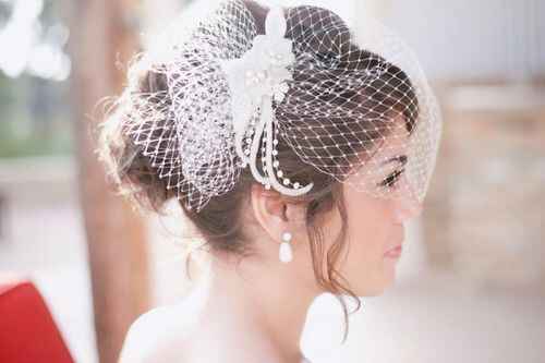 Hermosos velos birdcage - 61