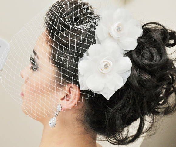 Hermosos velos birdcage - 12