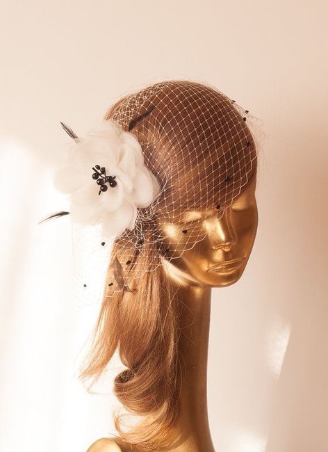 Hermosos velos birdcage - 52