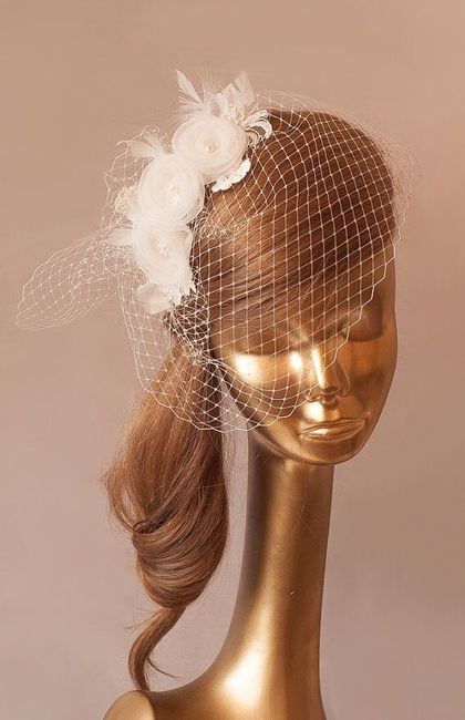 Hermosos velos birdcage - 54