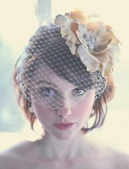 Hermosos velos birdcage - 58