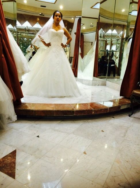 Vestidos vemos...cuál te acomoda, no sabemos! - 2