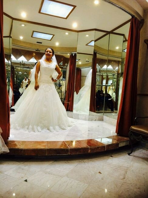 Vestidos vemos...cuál te acomoda, no sabemos! - 3