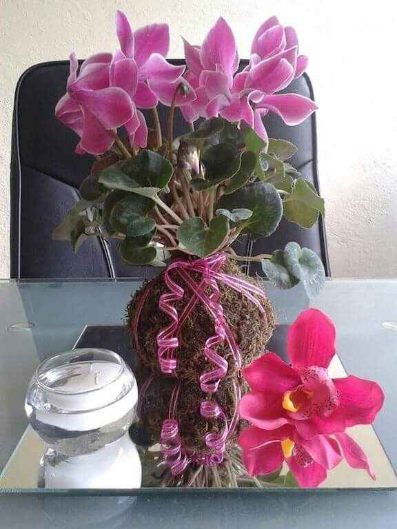 Centros de  mesa kokedama - 4