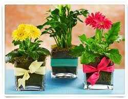 Centros de mesa ayuda pliss :/ - 4