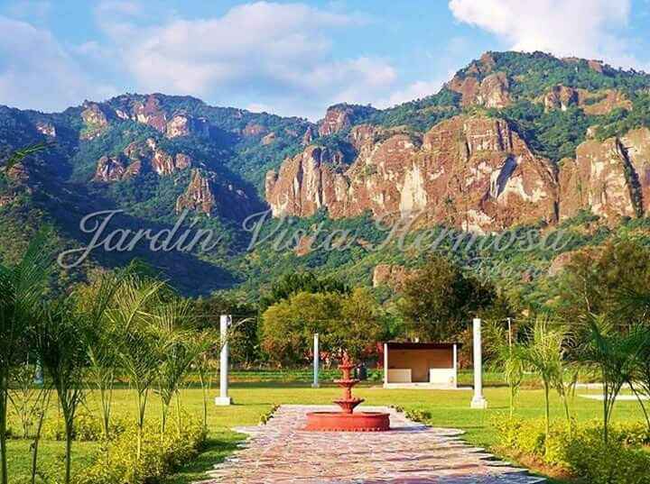 El jardín para mi recepción - 1