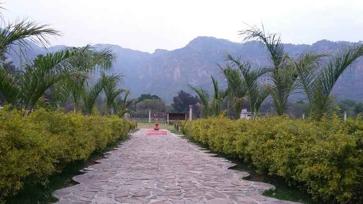 Boda campestre, ¿quién se anima?. - 1
