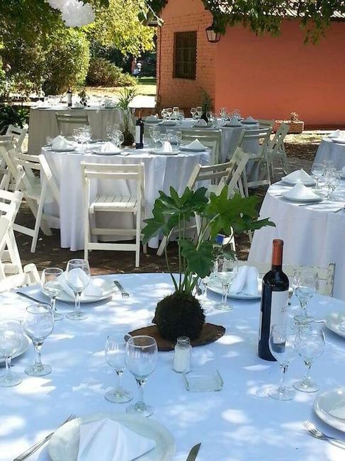 Centros de  mesa kokedama - 1