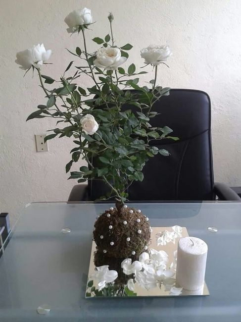 Centros de  mesa kokedama - 3