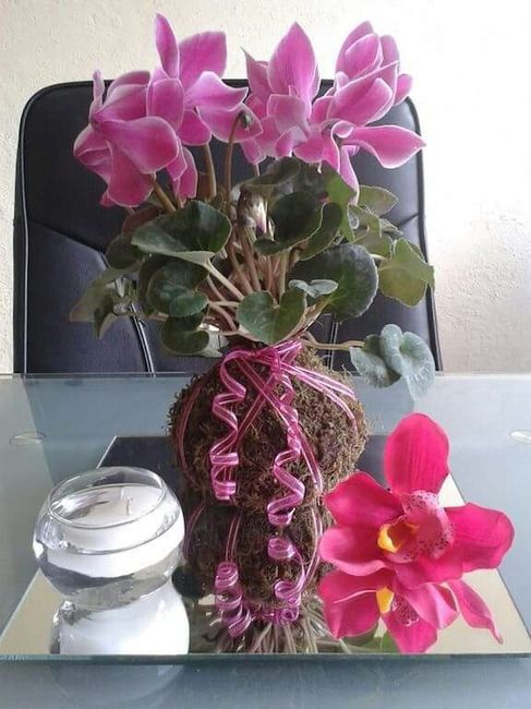 Centros de  mesa kokedama - 4