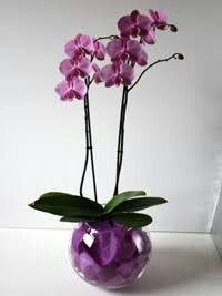 Centros de mesa ayuda pliss :/ - 1