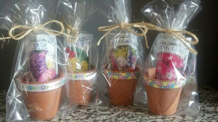 Recuerdos con mini macetas - 5
