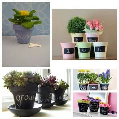 Recuerdos con mini macetas - 1