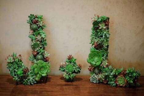 Ramos de novia con suculentas - 1