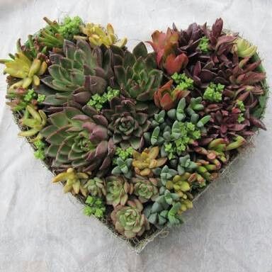 Ramos de novia con suculentas - 3