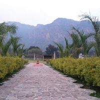 Boda campestre, ¿quién se anima?. - 1