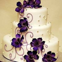 morado