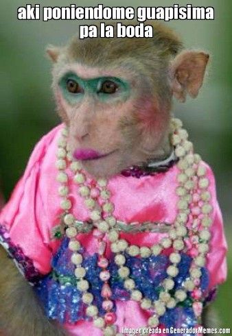 Lunes de buena vibra 5