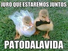 Viernes de... ¡memes de boda! 12
