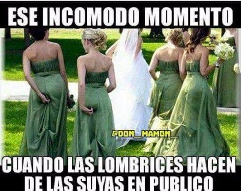 Viernes de... ¡memes de boda! 19