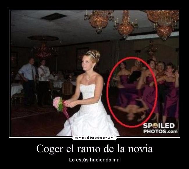 Viernes de... ¡memes de boda! Foro