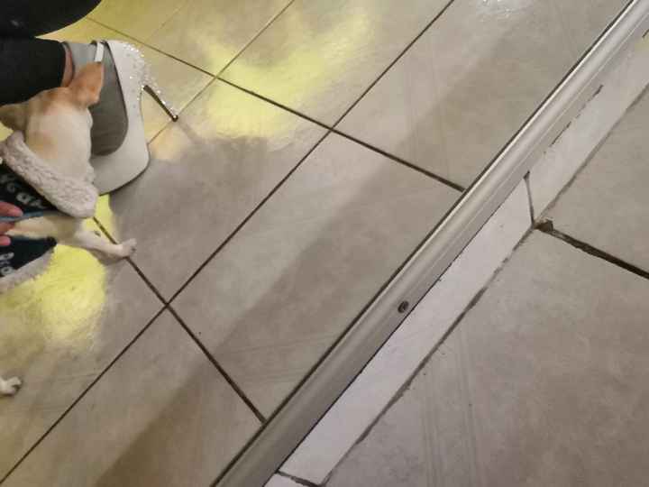 Zapatillas de novia y tips !! 😍 - 2