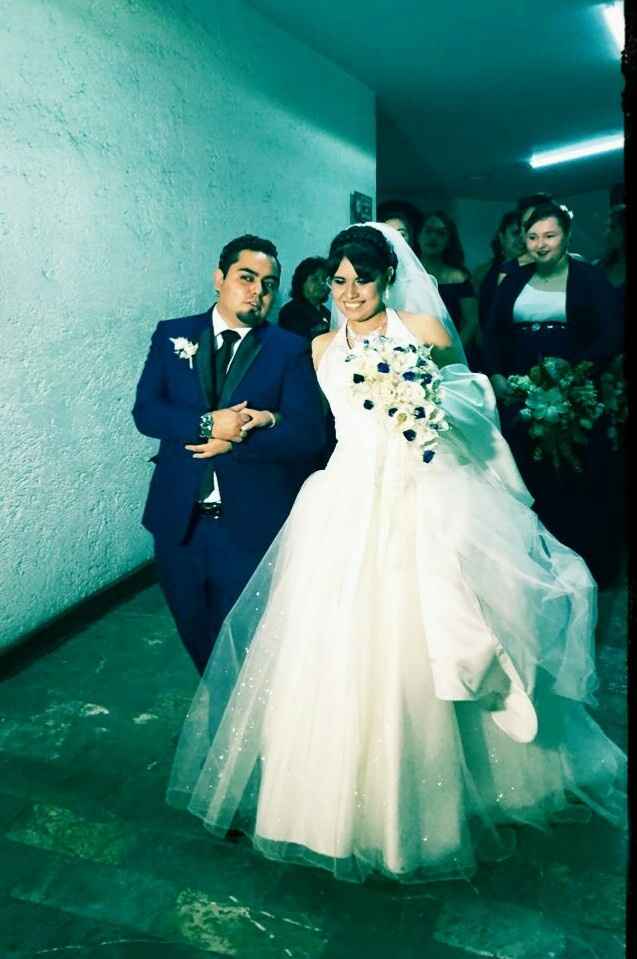  Ramos de flores rehidratadas - 2