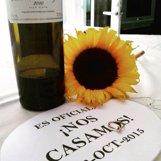 Mi pedida de mano - 4