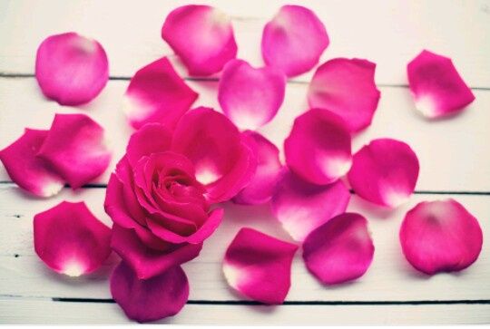 Salida de la Iglesia - 5